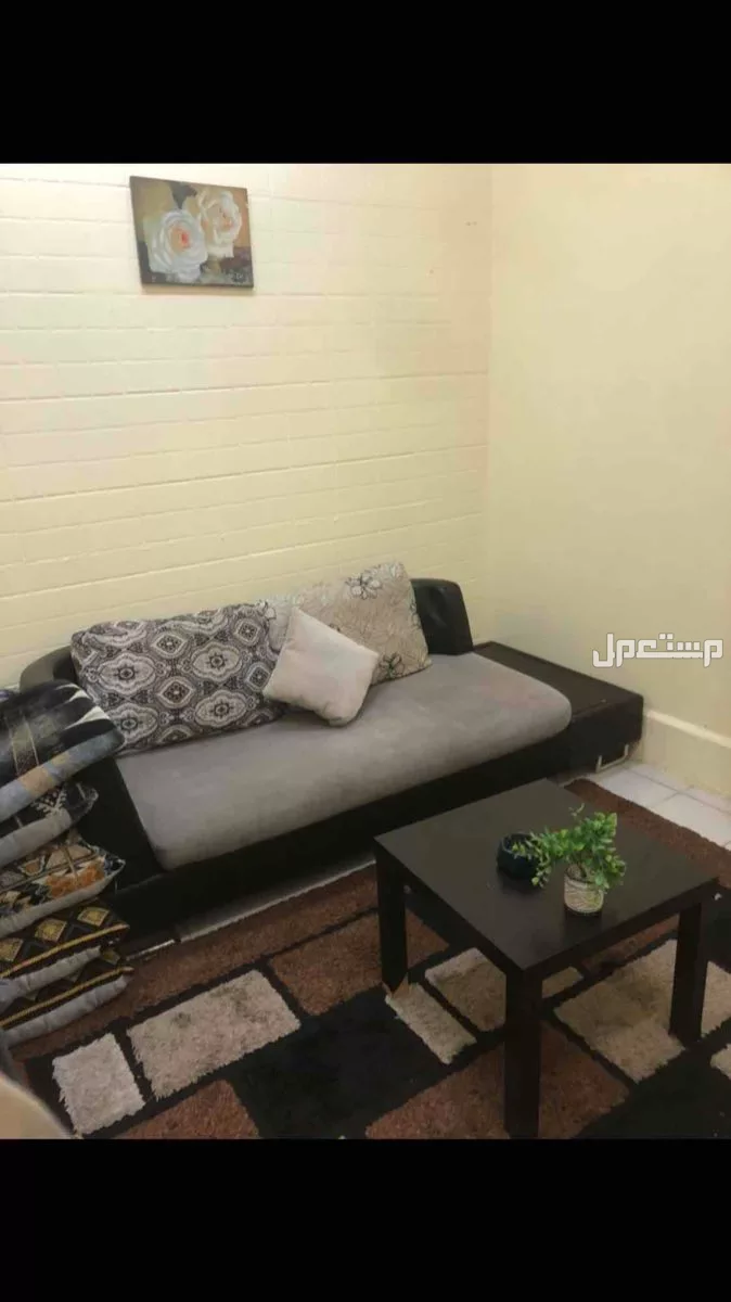 اريكة صوفا كنبه من ايكيا بحالة ممتازه مع سجاده وطاوله مع الخديدات والاكسسوارات