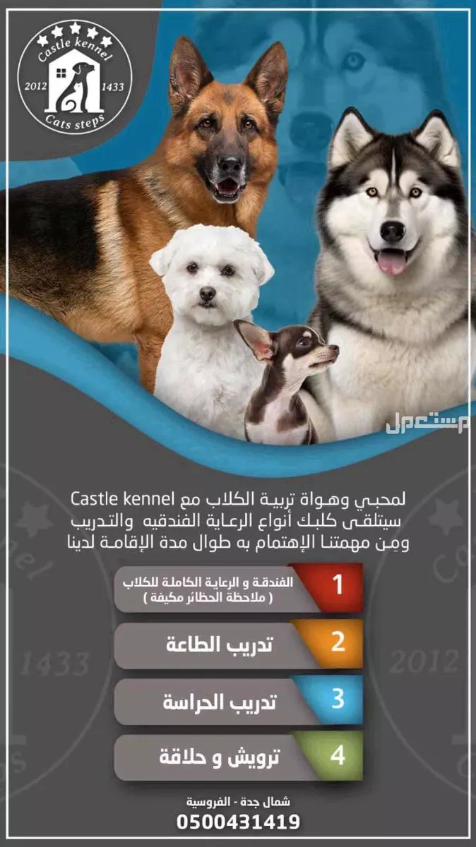 فندقة وتدريب كلاب بأفضل الأسعار