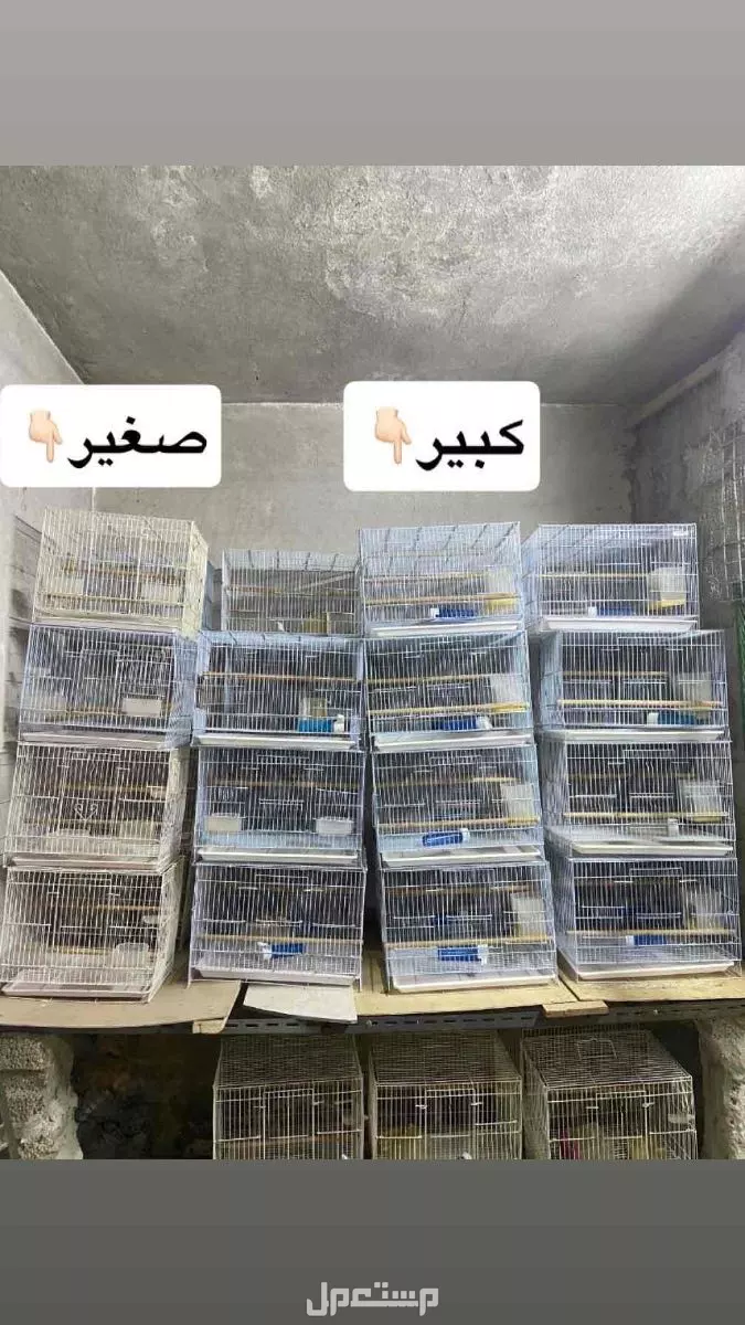 للبيع اقفاص طيور بسعر 15 للحبة البيع جملة