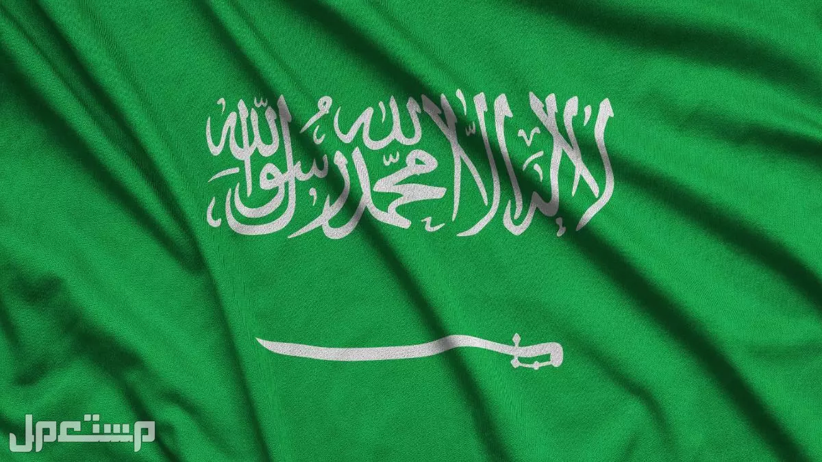 تصنيف رخص عمل الوافدين في السعودية 2025.. الأنواع والفئات دليل تصنيف رخص العمل في السعودية pdf