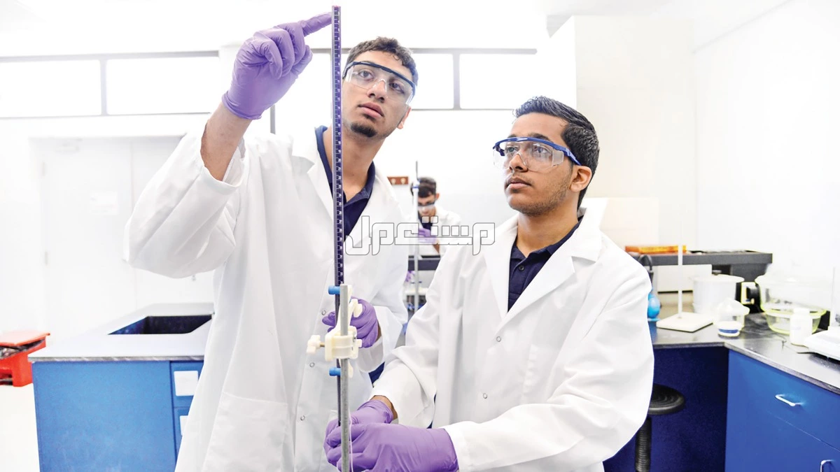 جدول التسجيل في الجامعات السعودية 2025.. كل المناطق والتخصصات