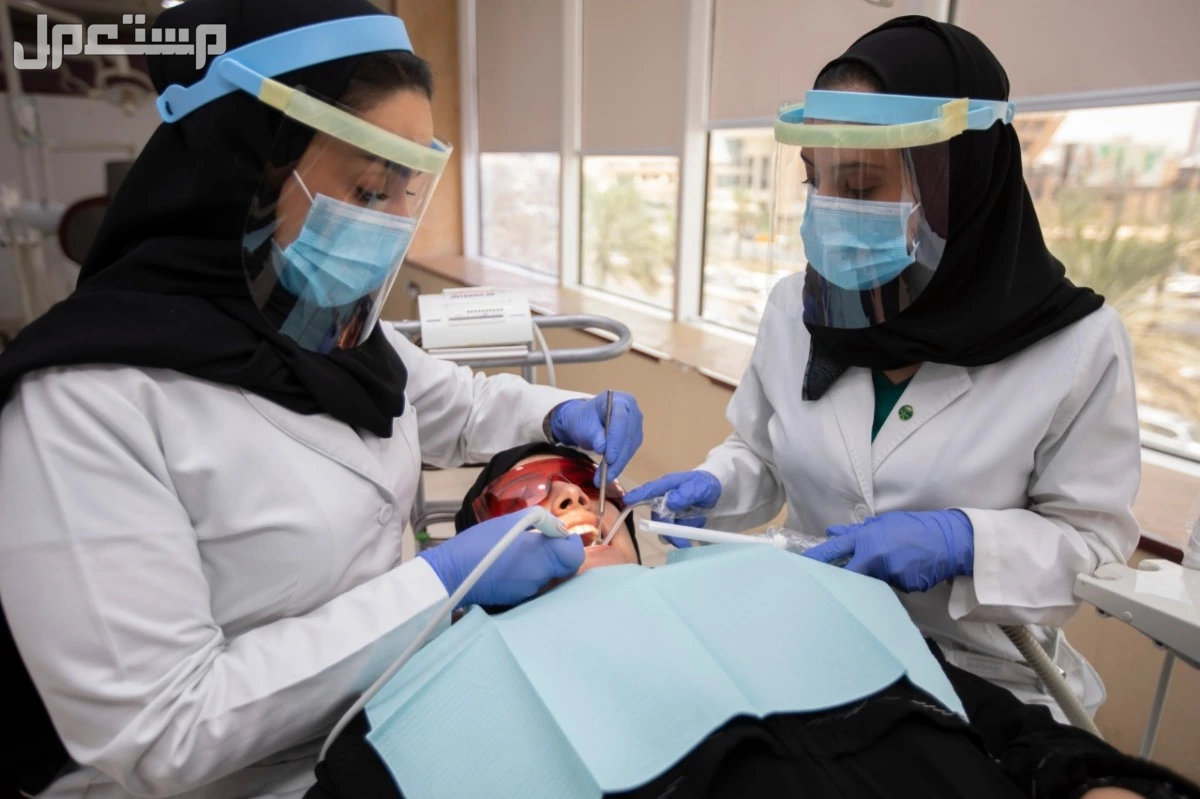 جدول التسجيل في الجامعات السعودية 2025.. كل المناطق والتخصصات