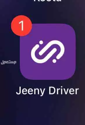 حساب جيني في الرياض بسعر 150 ريال سعودي