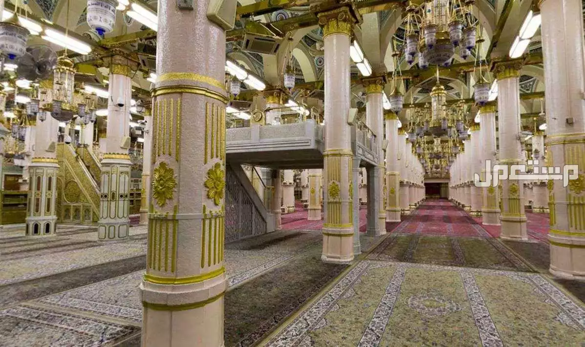 مواعيد زيارة الروضة الشريفة للرجال والنساء 1447 وطريقة الحجز مواعيد زيارة الروضة الشريفة للنساء 1447