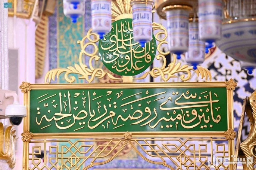 مواعيد زيارة الروضة الشريفة للرجال والنساء 1447 وطريقة الحجز تصريح الصلاة في الروضة الشريفة