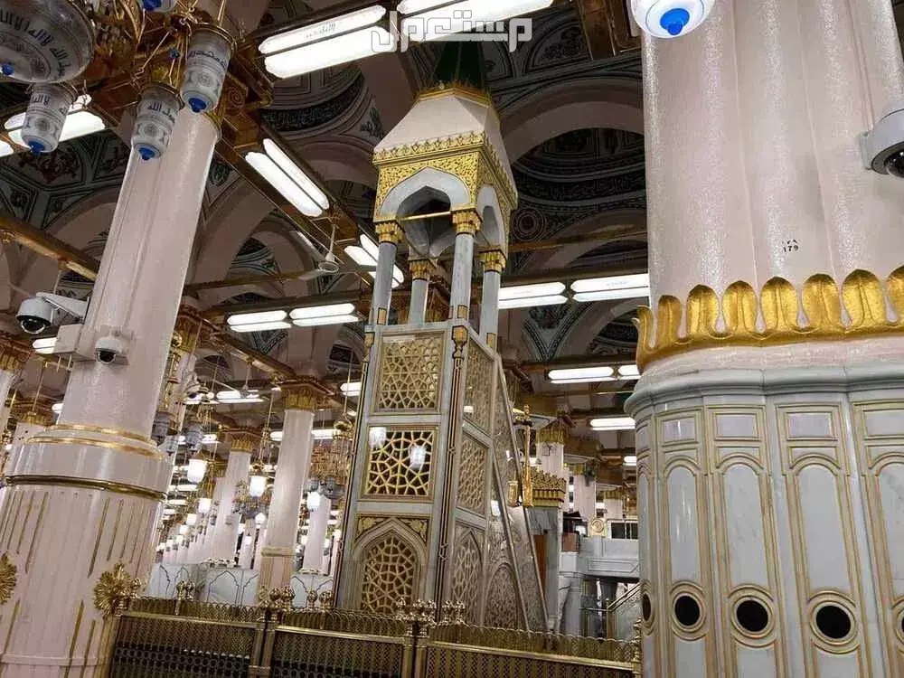 مواعيد زيارة الروضة الشريفة للرجال والنساء 1447 وطريقة الحجز كيف أحجز المواعيد في الروضة الشريفة للنساء؟