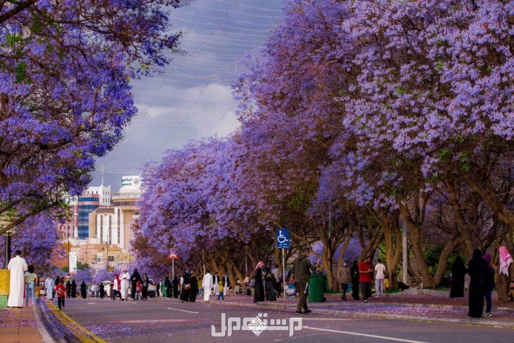 أفضل وجهات سياحية منعشة بعيدًا عن حرارة الصيف أبها