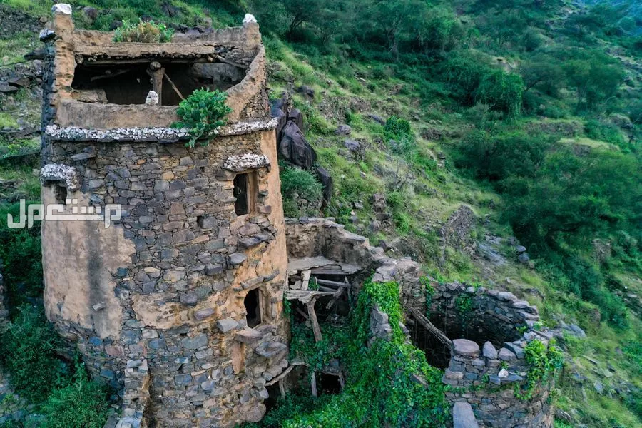 أفضل وجهات سياحية منعشة بعيدًا عن حرارة الصيف جبل فيفا