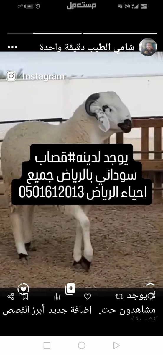 يوجد لدينه#قصاب سوداني بالرياض جميع احياء الرياض