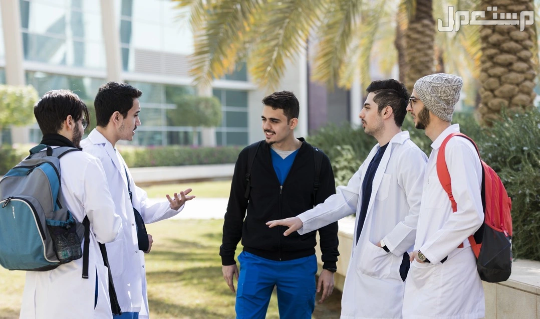 جدول مواعيد القبول في الجامعات 1447.. كل ما تحاج معرفته مواعيد القبول في الجامعات 1447