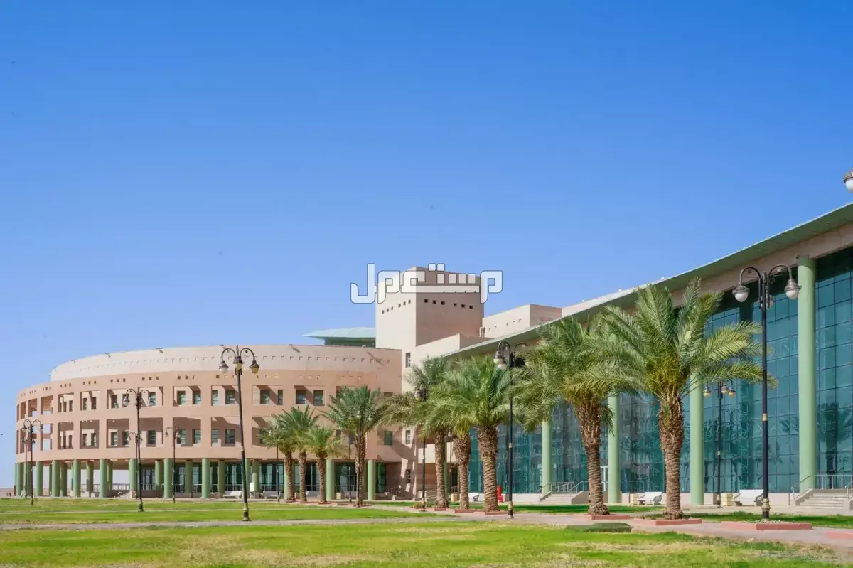 جدول مواعيد القبول في الجامعات 1447.. كل ما تحاج معرفته