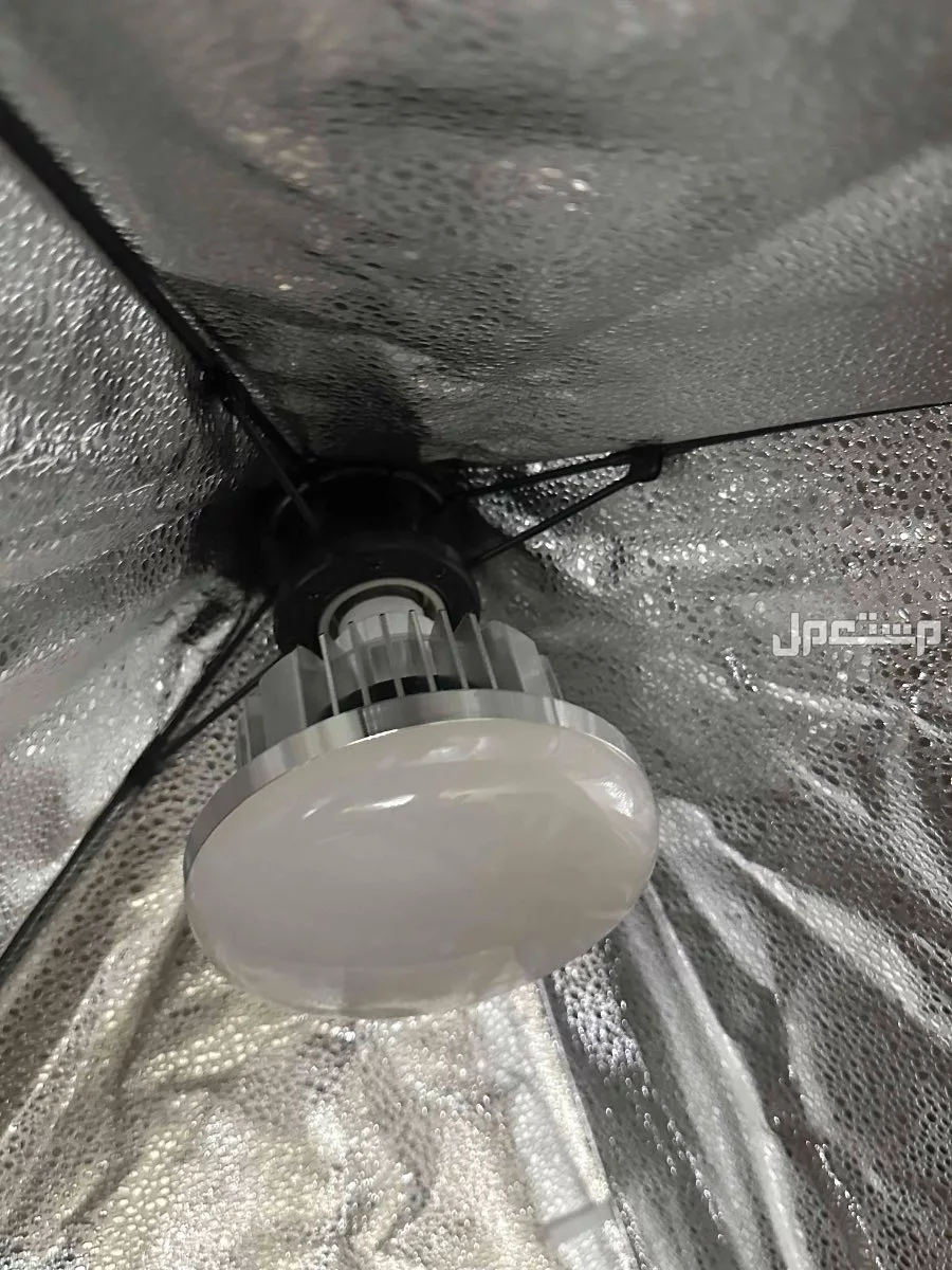 2 سوفت بوكس مقاس 50*70 الحالة جديد لم يستخدم ولا مرة في قسم الدقي بسعر ممتاز