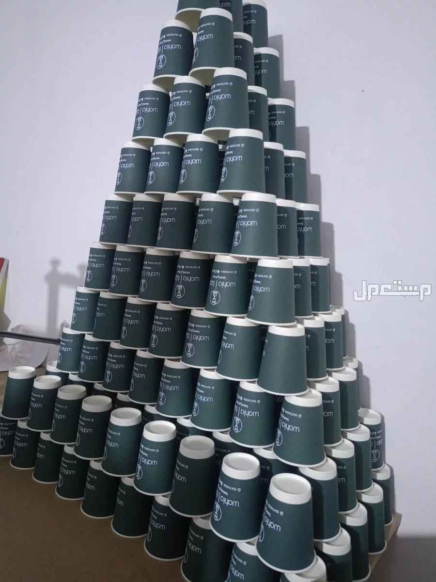معلم سلك سكرين 0551841259 في بريدة بسعر 3 آلاف ريال سعودي