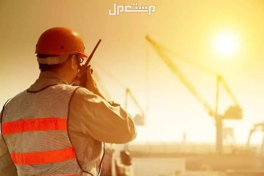 متى يبدأ حظر العمل تحت أشعة الشمس؟.. أوقات الحظر والغرامات أوقات العمل في التوقيت الصيفي