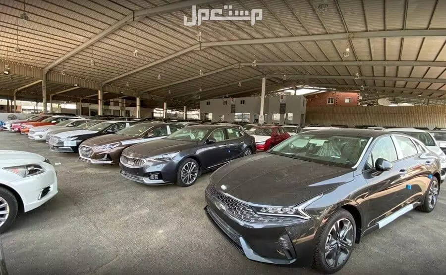 ما الفرق بين السيارات المستعملة من الأفراد والمعارض؟ مميزات وعيوب سيارات مستعملة من المعارض