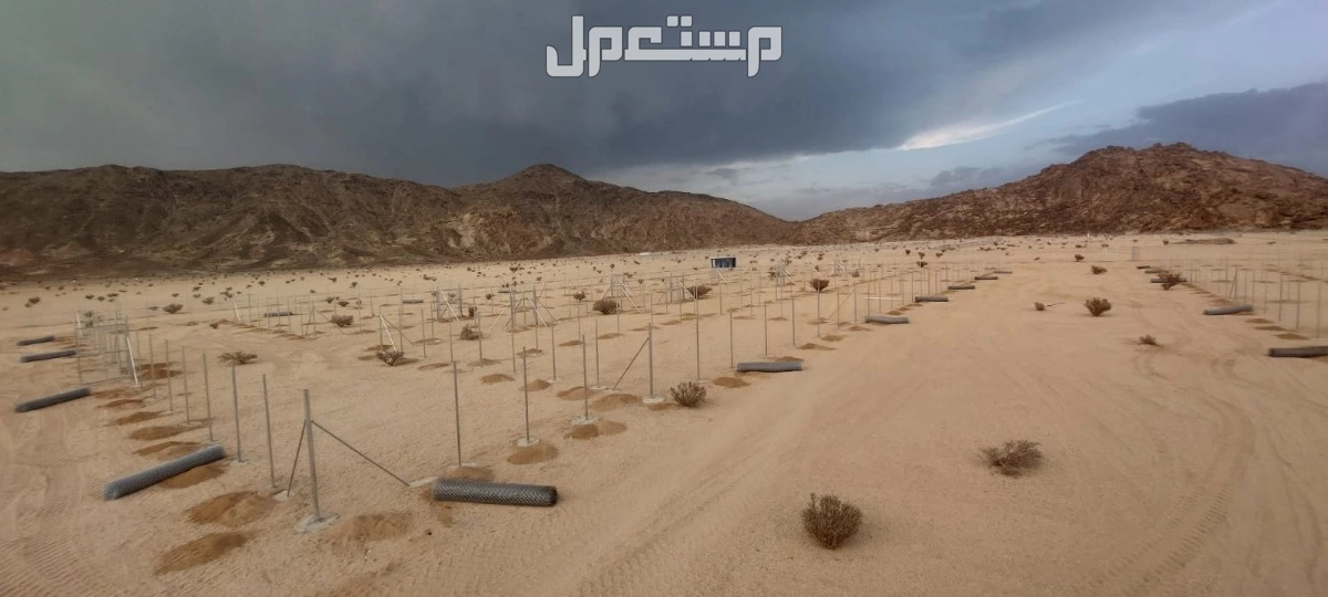 في المزاحمية بسعر 0 ريال سعودي