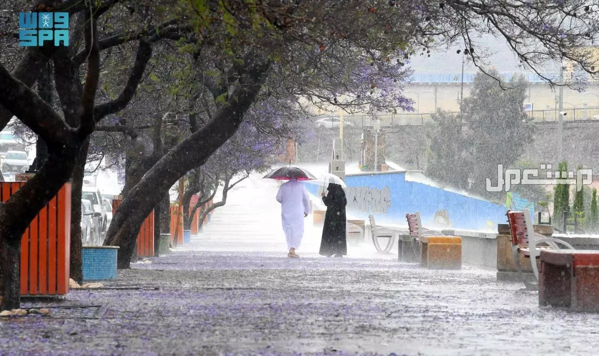 موسم الأمطار في السعودية 1447.. الموعد المتوقع والمناطق الأكثر تأثرًا موسم الأمطار في السعودية 1447