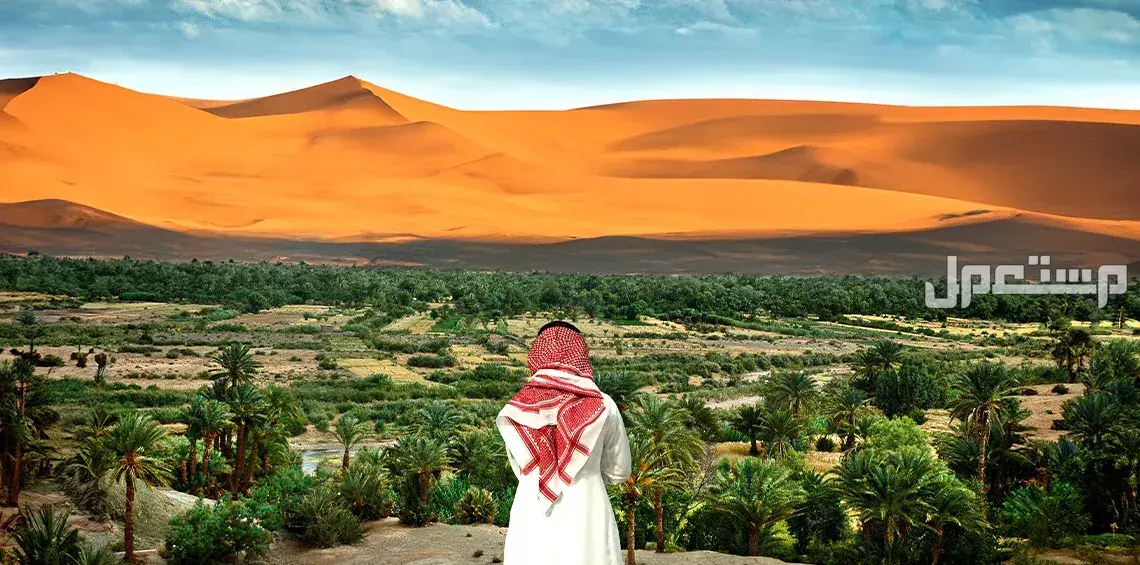 موسم الأمطار في السعودية 1447.. الموعد المتوقع والمناطق الأكثر تأثرًا توقيت أمطار السعودية