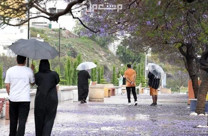 موسم الأمطار في السعودية 1447.. الموعد المتوقع والمناطق الأكثر تأثرًا متى يبدأ موسم المطر