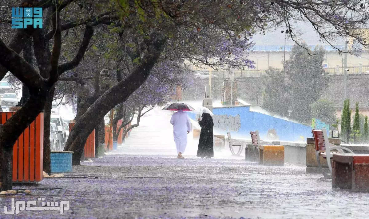 موسم الأمطار في السعودية 1447.. الموعد المتوقع والمناطق الأكثر تأثرًا موسم المطر 1447 السعودية