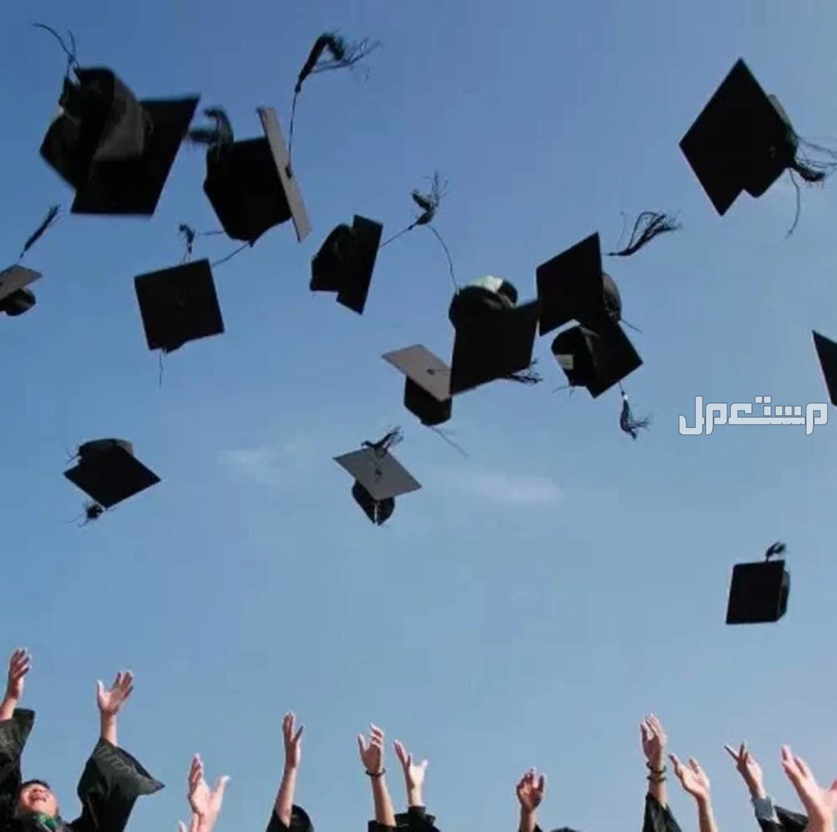 أجمل عبارات الرد على تهنئة التخرج 2025 بكلمات راقية ومؤثرة كيف ترد على مباركات التخرج؟