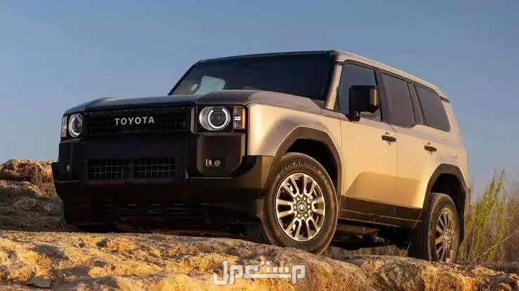 أقوى 5 سيارات للرحلات البرية والتخييم لعام 2025 أفضل سيارة دفع رباعي