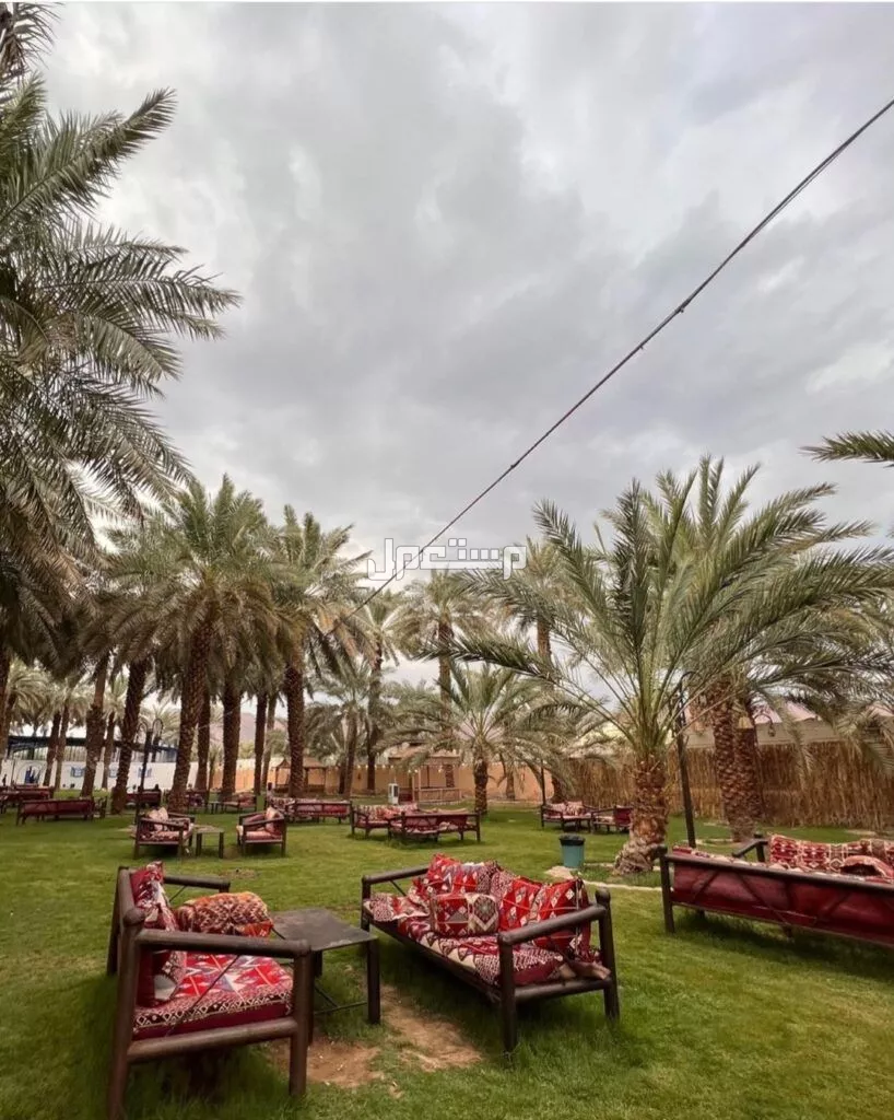 أجمل أماكن سياحية للعوائل في المدينة المنورة: دليل 2025 كيف تقضي يومًا مثاليًا في المدينة المنورة؟