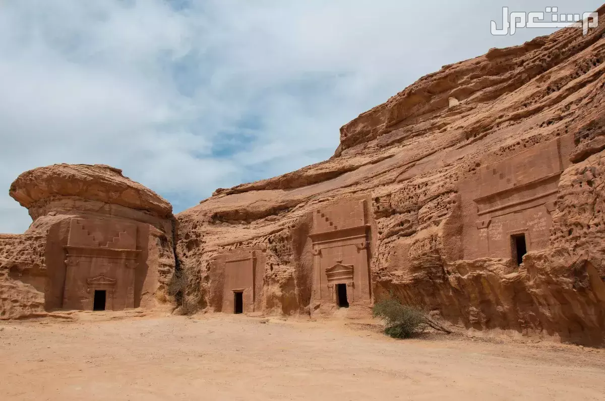 أجمل أماكن سياحية للعوائل في المدينة المنورة: دليل 2025 أماكن للعوائل في المدينة المنورة