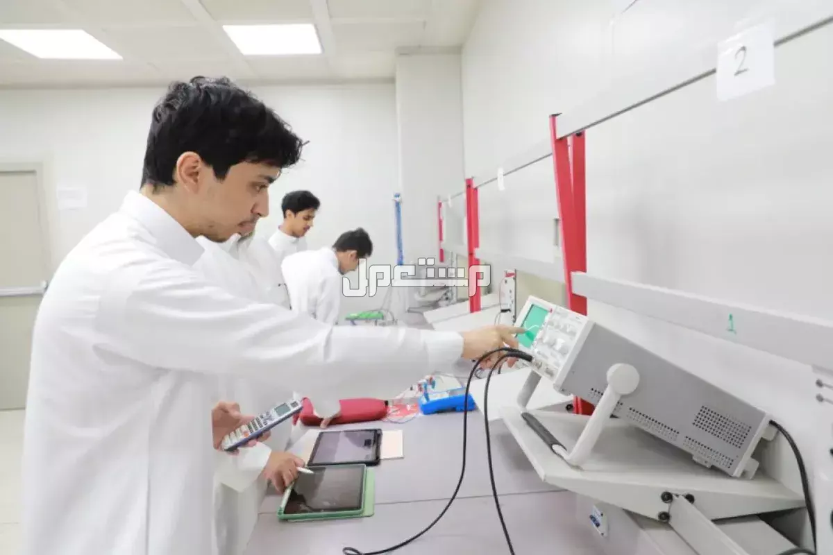 تخصصات جامعة طيبة ومواعيد التقديم والقبول عبر برنامج جدير 1447 التقديم في جامعة طيبة عبر جدير 1447