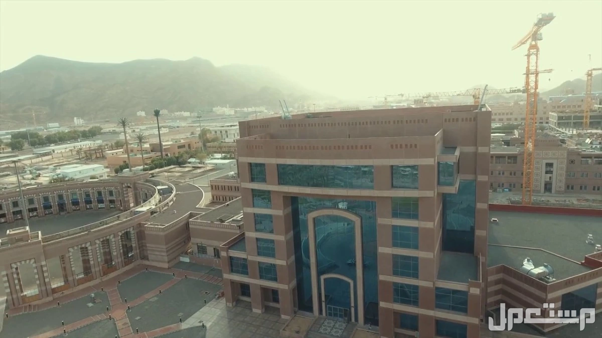 تخصصات جامعة طيبة ومواعيد التقديم والقبول عبر برنامج جدير 1447 كيف أقدم في جامعة طيبة بالمدينة المنورة؟