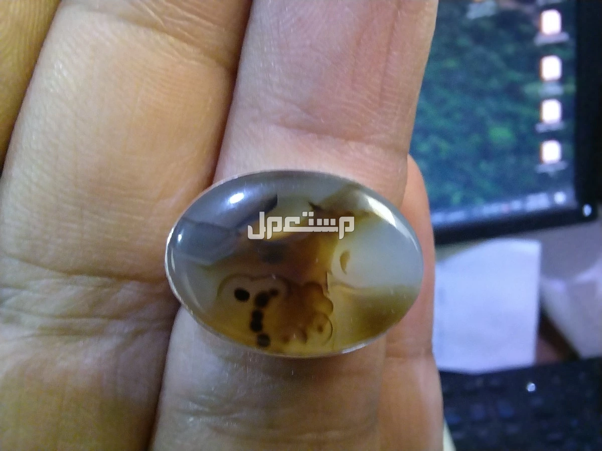 خاتم ملكي عقيق يماني مصور في الرياض جبل وطير و بحر