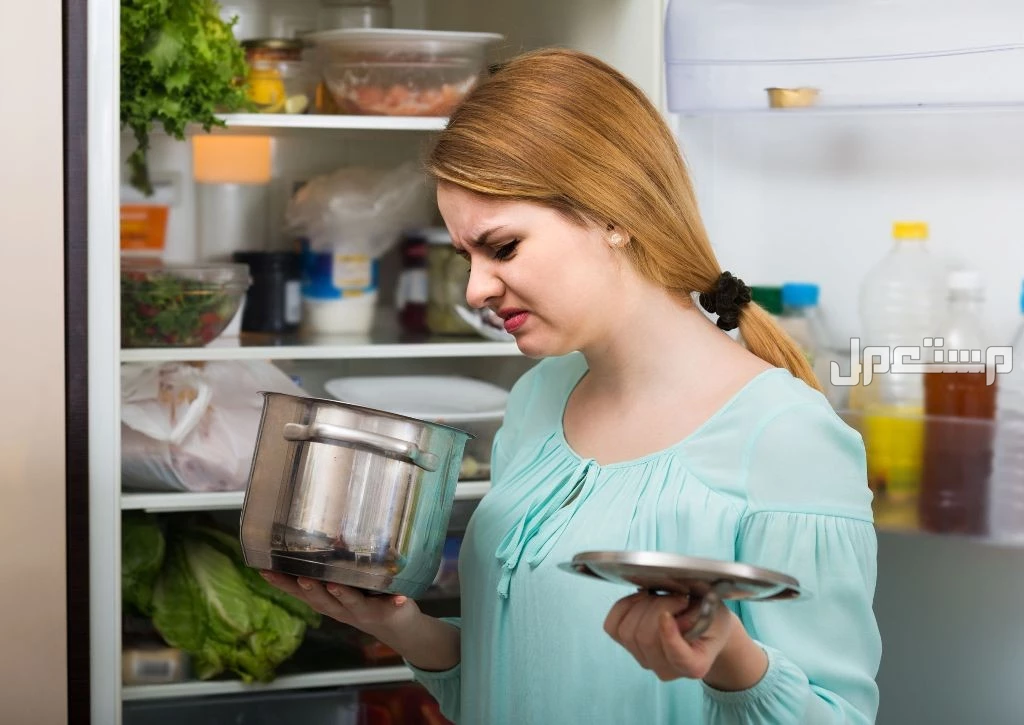 عفنت الثلاجة بعد انقطاع الكهرباء؟ إليك أفضل طرق التنظيف وإزالة الرائحة طريقة تنظيف الثلاجة بعد تلف الأكل