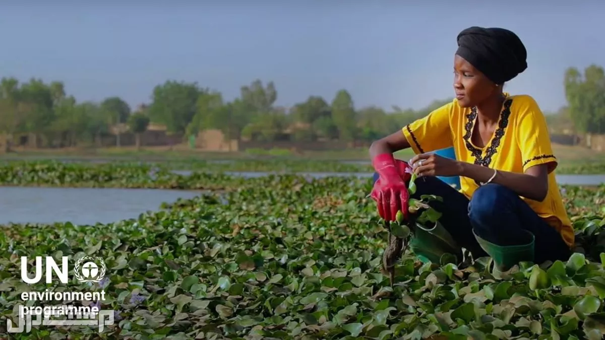 جدول الأيام العالمية في شهر أغسطس 2025.. أهم المناسبات العالمية مناسبات صحية وبيئية في أغسطس