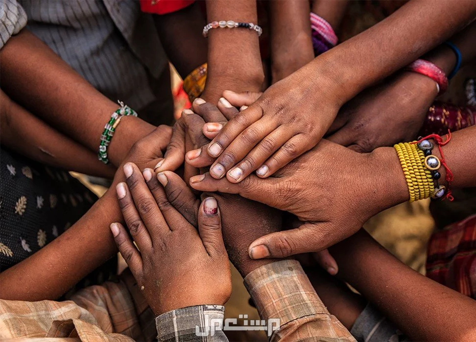 جدول الأيام العالمية في شهر أغسطس 2025.. أهم المناسبات العالمية International days in August 2025