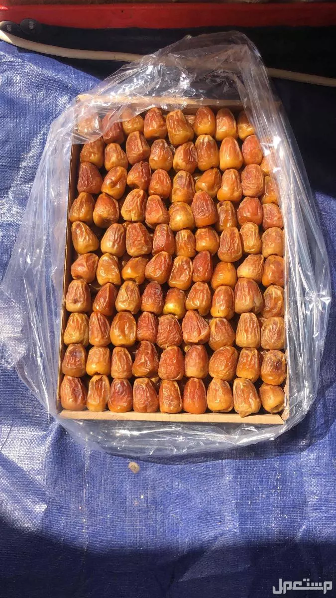 سكري جالكسي فاخر من مزارعنا بالقصيم منقى حبه حبه