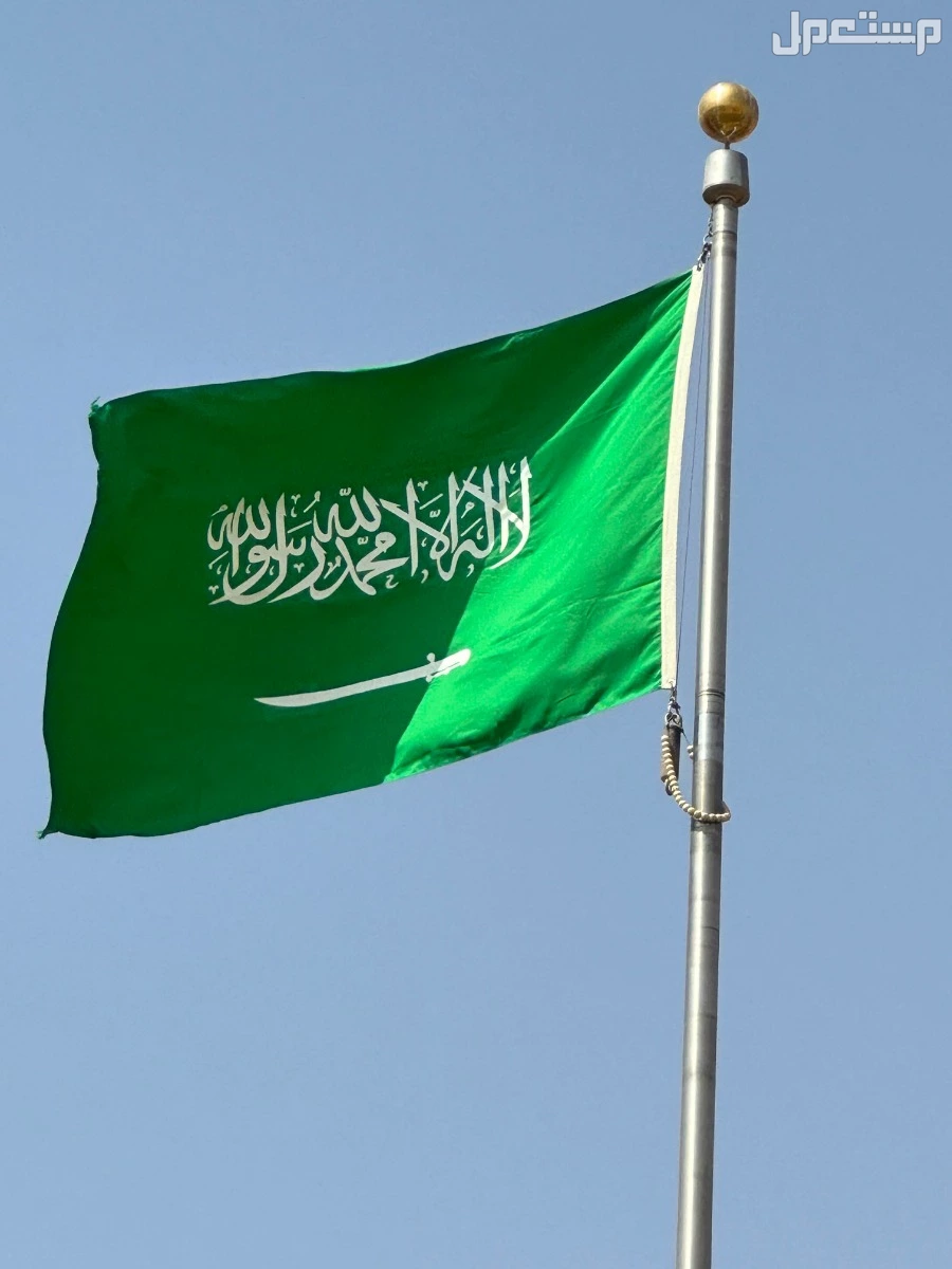 أجمل صور وبطاقات تهنئة اليوم الوطني السعودي 1447 للتحميل مجانًا بطاقات اليوم الوطني جاهزة للتحميل