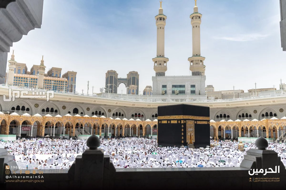 سعر عمرة المولد النبوي 2025 حسب الميزانية.. أفضل عروض عمرة المولد النبوي