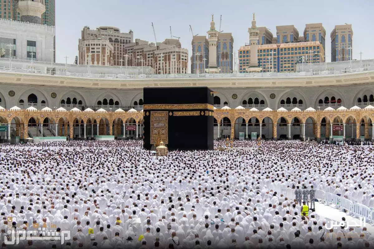 سعر عمرة المولد النبوي 2025 حسب الميزانية.. أفضل عروض سعر عمرة المولد النبوي 2025