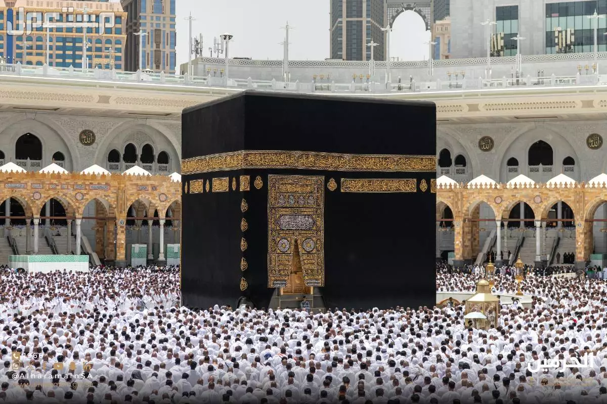 سعر عمرة المولد النبوي 2025 حسب الميزانية.. أفضل عروض عمرة المولد النبوي