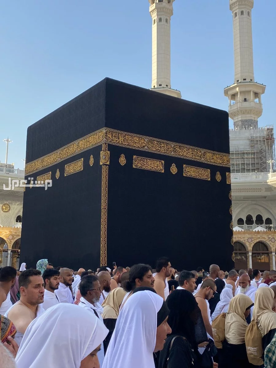 سعر عمرة المولد النبوي 2025 حسب الميزانية.. أفضل عروض رسوم تأشيرة العمرة