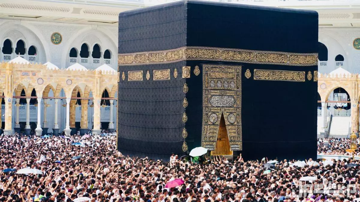 سعر عمرة المولد النبوي 2025 حسب الميزانية.. أفضل عروض عمرة ربيع الأول