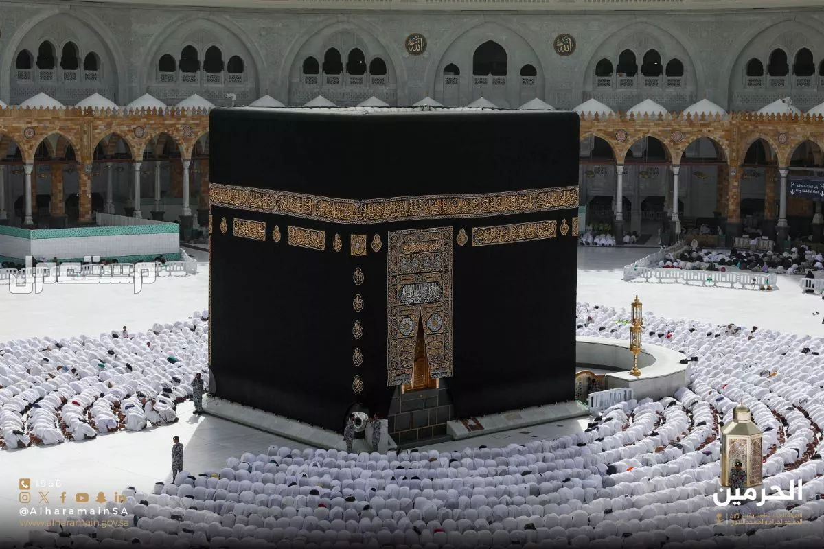 سعر عمرة المولد النبوي 2025 حسب الميزانية.. أفضل عروض تأشيرة عمرة عبر نسك