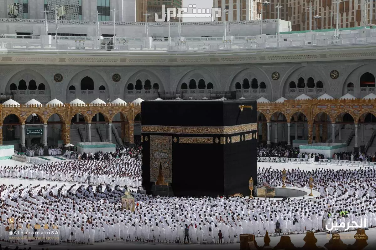 سعر عمرة المولد النبوي 2025 حسب الميزانية.. أفضل عروض تأشيرة عمرة