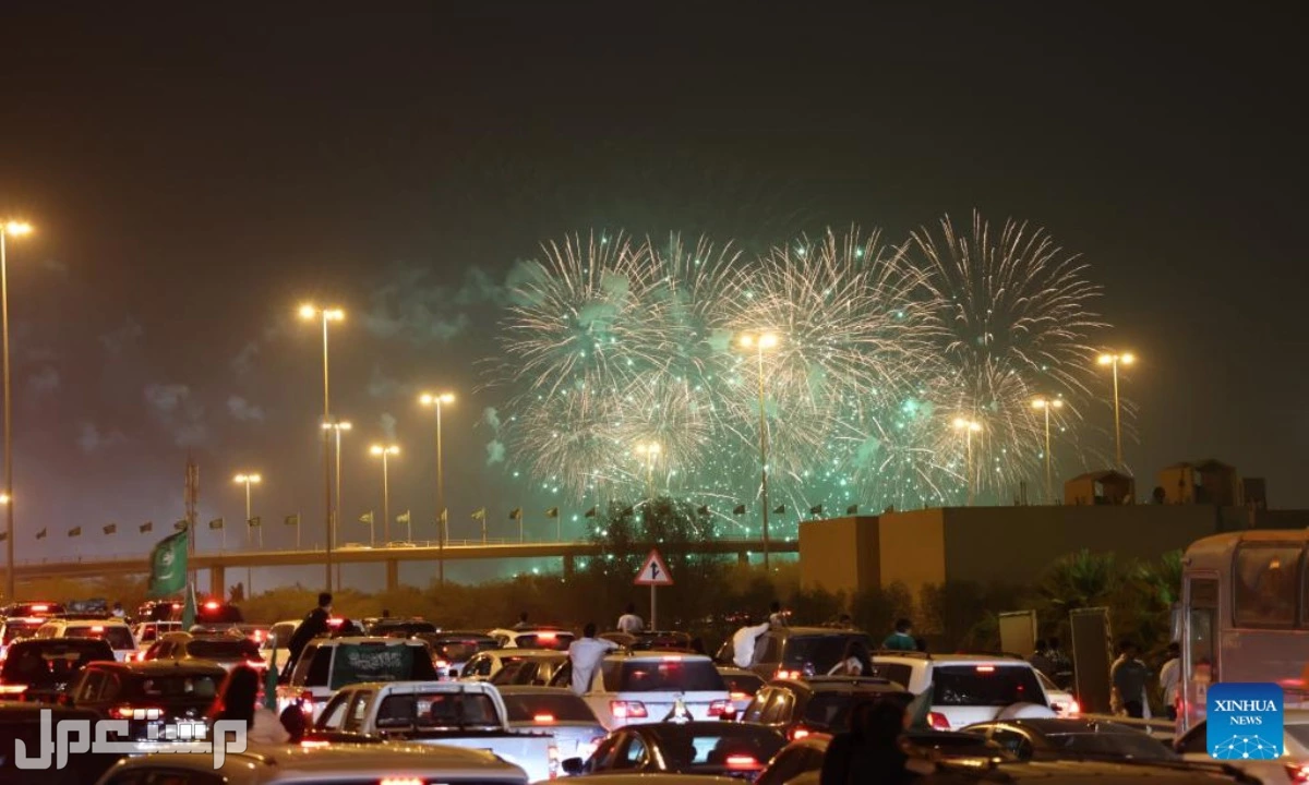 تصميم شعار وهوية اليوم الوطني السعودي 95 لعام 2025 (صور)
