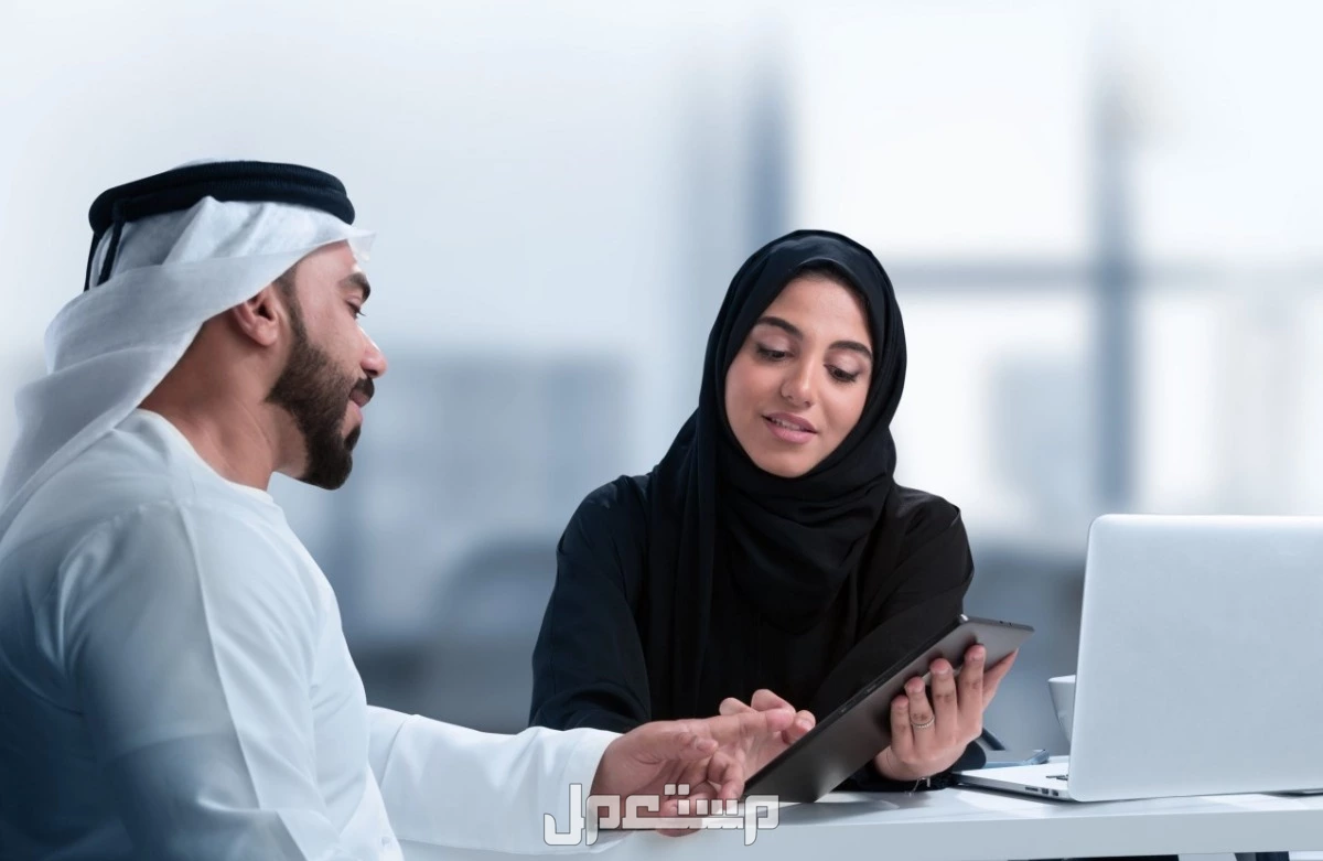 وظائف التأمينات الاجتماعية للخريجين 2025 والتخصصات المطلوبة التخصصات الجامعية المطلوبة للعمل في السعودية