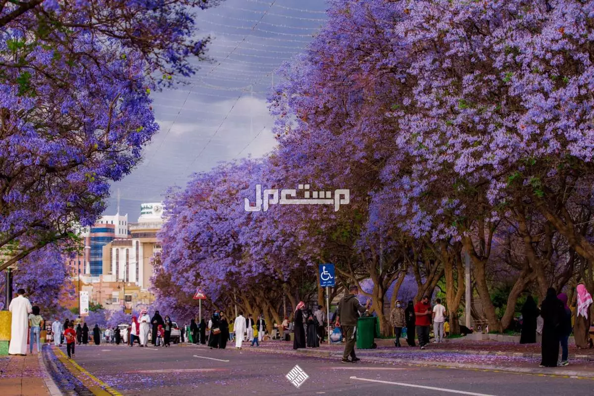 أفضل 10 وجهات السفر في سبتمبر 2025 بأسعار مناسبة أفضل 10 وجهات السفر في سبتمبر 2025