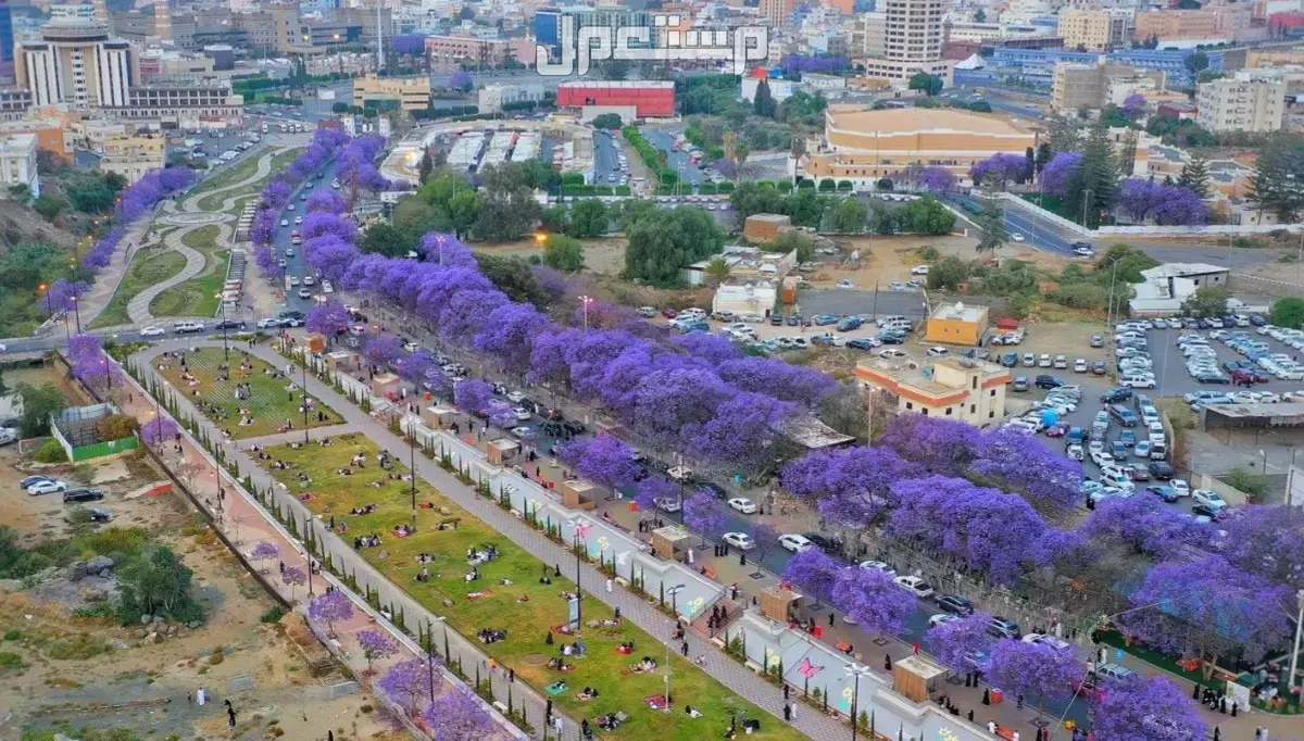 أفضل 10 وجهات السفر في سبتمبر 2025 بأسعار مناسبة أبها عروس الجنوب