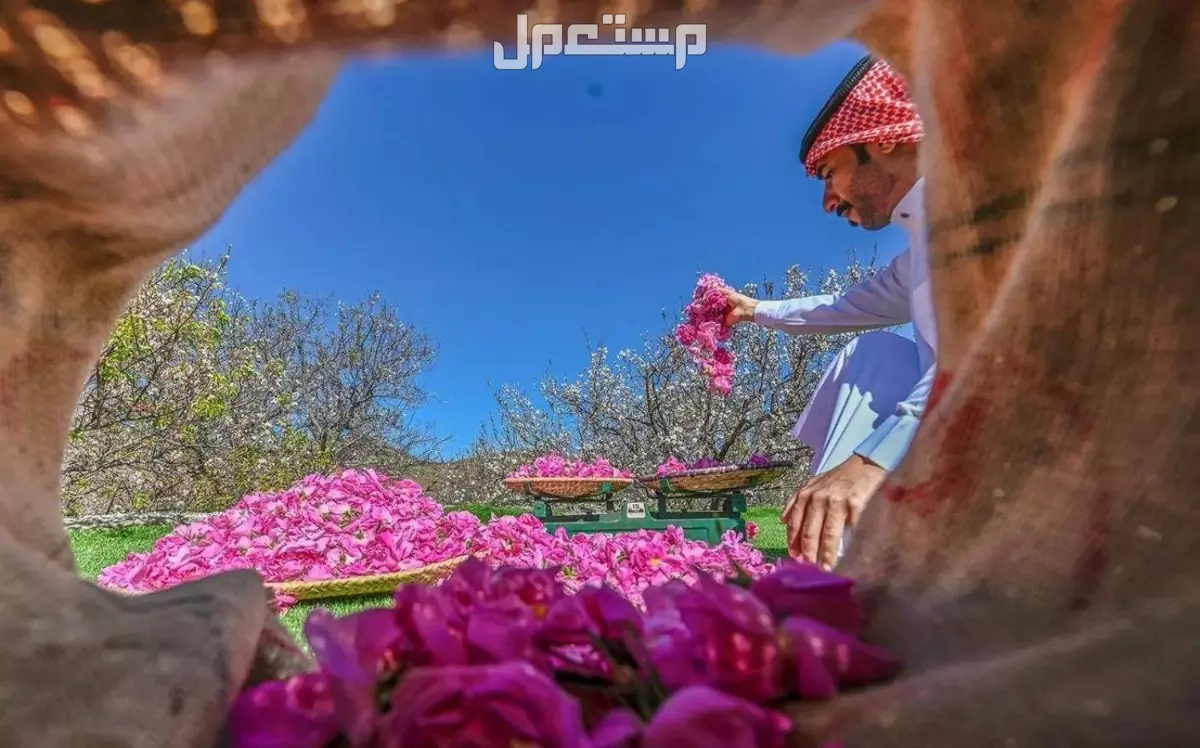 أفضل 10 وجهات السفر في سبتمبر 2025 بأسعار مناسبة الطائف