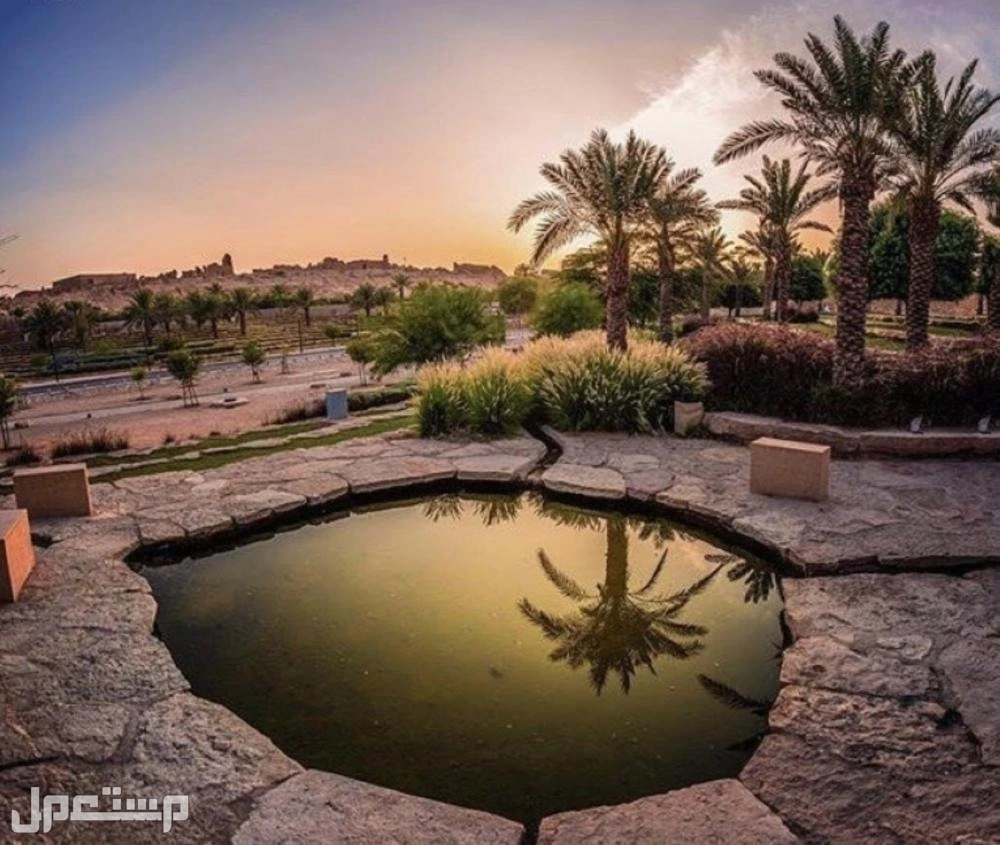 أفضل 10 وجهات السفر في سبتمبر 2025 بأسعار مناسبة واحة الأحساء