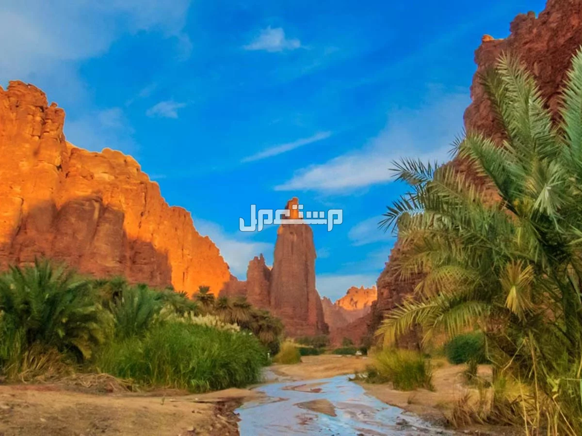 أفضل 10 وجهات السفر في سبتمبر 2025 بأسعار مناسبة تبوك